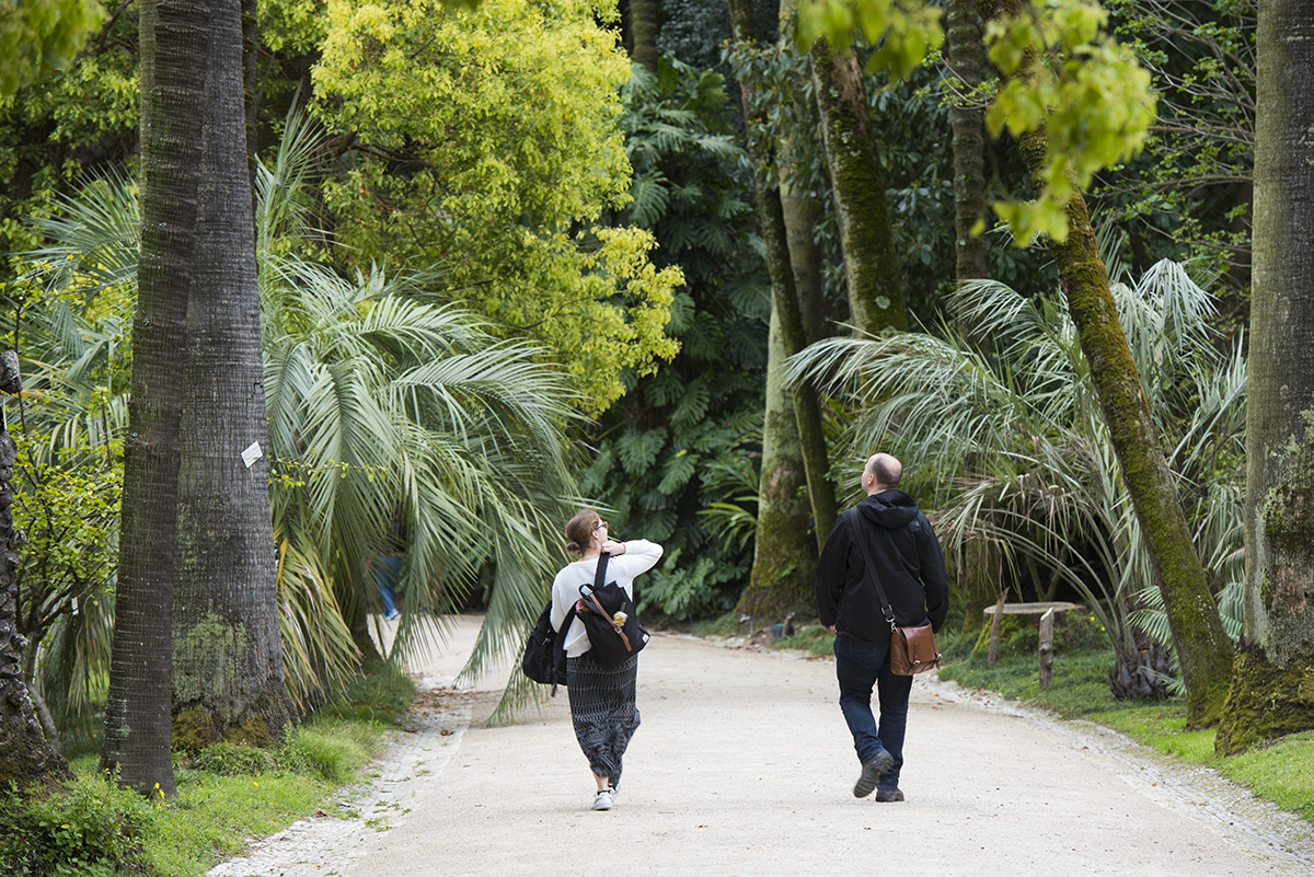 principe real jardim botanico